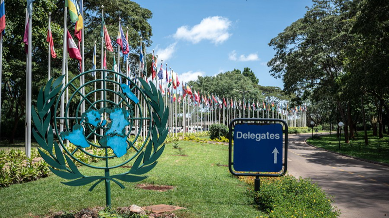 GGI renforce le rôle de l’ONU dans la gouvernance environnementale mondiale