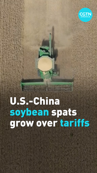 Guerre commerciale du soja : les agriculteurs américains cherchent de nouveaux marchés alors que la Chine se retire video poster
