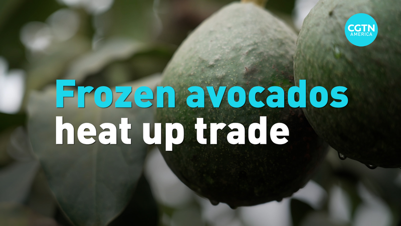 Lancement des avocats congelés du Pérou sur le marché des superaliments de la Chine continentale Lancement des avocats congelés du Pérou sur le marché des superaliments de la Chine continentale video poster
