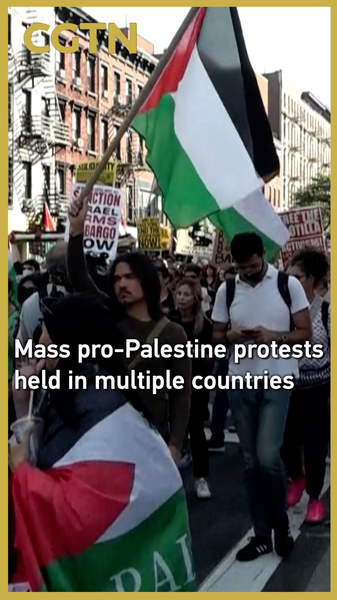 Des manifestations massives pro-palestiniennes éclatent dans le monde entier contre le blocus de Gaza Des manifestations massives pro-palestiniennes éclatent dans le monde entier contre le blocus de Gaza video poster