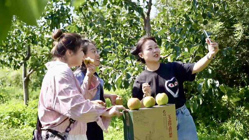 Comment les poires Yulu du Shanxi sont devenues une sensation en direct Comment_les_poires_Yulu_du_Shanxi_sont_devenues_une_sensation_en_direct video poster