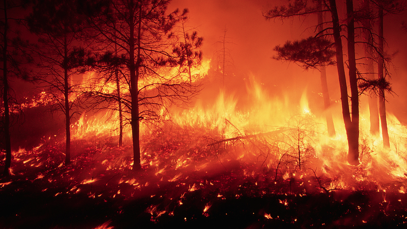 43 % des pires incendies se sont produits au cours de la dernière décennie : étude 43 % des pires incendies se sont produits au cours de la dernière décennie : étude