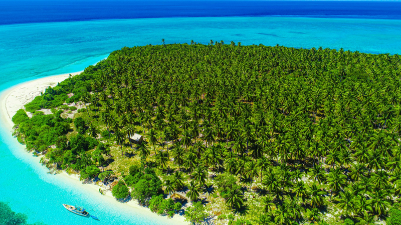 Découvrez Wakatobi : Merveille sous-marine d’Indonésie avant l’APEC 2025 Découvrez Wakatobi : Merveille sous-marine d'Indonésie avant l'APEC 2025