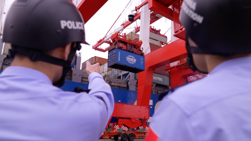 Les marchandises mondiales arrivent à Shanghai pour le 8e CIIE video poster