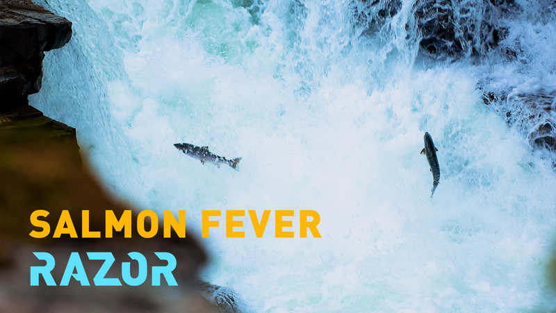 Quand la tradition rencontre l’IA pour sauver le saumon atlantique sauvage de Norvège Quand la tradition rencontre l'IA pour sauver le saumon atlantique sauvage de Norvège video poster