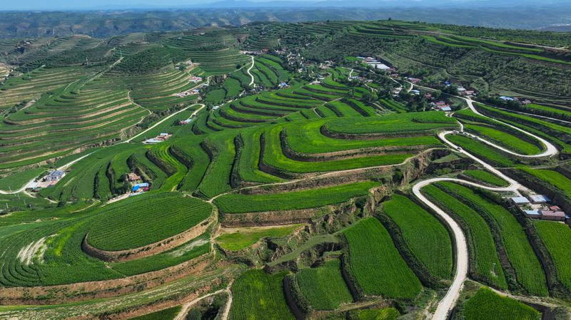 Le 15e plan quinquennal de la Chine dévoile des objectifs ambitieux de revitalisation rurale