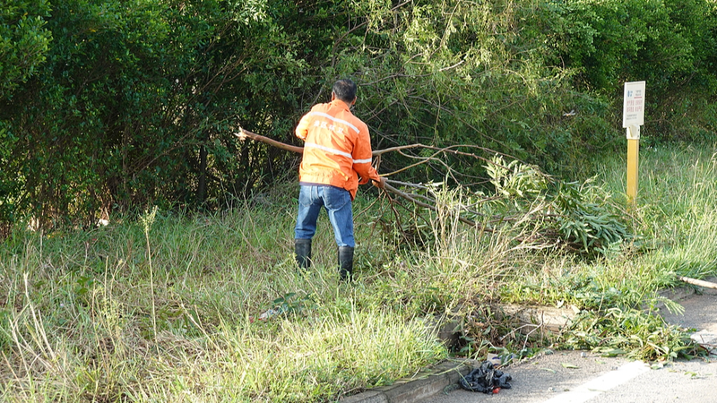 Le typhon Matmo frappe : les efforts de secours s’organisent à Guangxi et au Yunnan Le typhon Matmo frappe : les efforts de secours s'organisent à Guangxi et au Yunnan