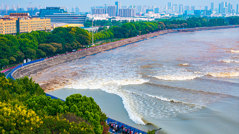 Quand la nature rugit : la vague argentée automnale de la rivière Qiantang Quand la nature rugit : la vague argentée automnale de la rivière Qiantang video poster
