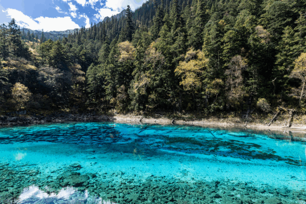 Lac des Cinq Couleurs : le joyau arc-en-ciel de Jiuzhaigou à 3 000 m Lac des Cinq Couleurs : le joyau arc-en-ciel de Jiuzhaigou à 3 000 m video poster