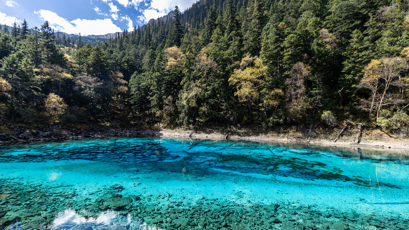 Lac des Cinq Couleurs : le joyau arc-en-ciel de Jiuzhaigou à 3 000 m video poster