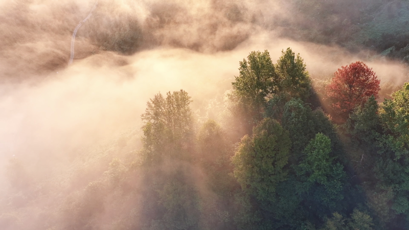 Jingde County : Un exemple vivant d’harmonie naturelle Jingde_County___Un_exemple_vivant_d_harmonie_naturelle video poster