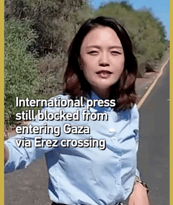 La presse internationale toujours bloquée au passage d’Erez à Gaza La presse internationale toujours bloquée au passage d'Erez à Gaza video poster