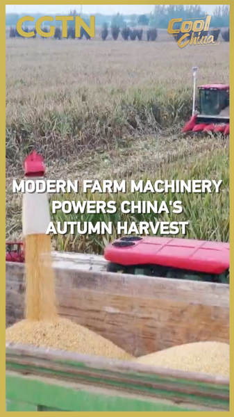 Les machines modernes stimulent la récolte d’automne en Chine continentale Les machines modernes stimulent la récolte d'automne en Chine continentale video poster