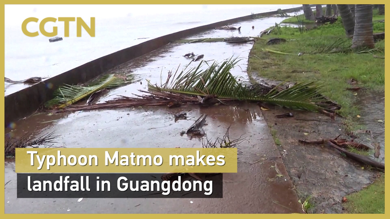 Le typhon Matmo frappe la province du Guangdong avec des vents de 42 m/s Le_typhon_Matmo_frappe_la_province_du_Guangdong_avec_des_vents_de_42_m_s video poster