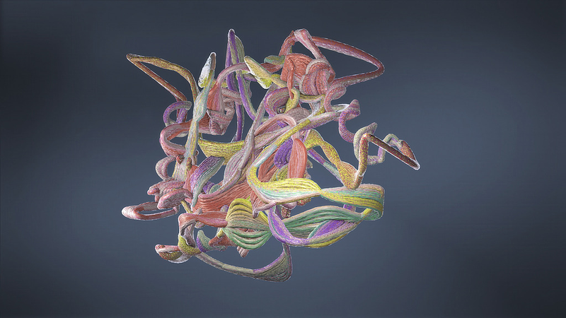 Le modèle protéique IA déchiffre l'évolution convergente chez les chauves-souris et les baleines