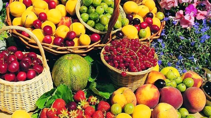 Le port de libre-échange de Hainan dynamise les exportations agricoles tropicales