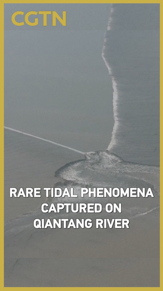 Spectacle rarissime de marée émerveille le long de la rivière Qiantang Spectacle rarissime de marée émerveille le long de la rivière Qiantang video poster