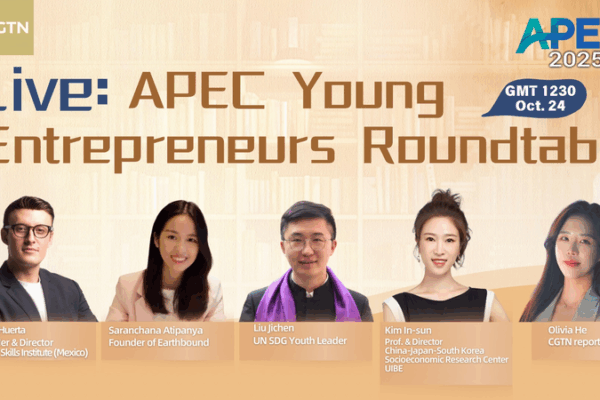 Table ronde des jeunes entrepreneurs de l’APEC : Susciter la créativité transfrontalière Table ronde des jeunes entrepreneurs de l'APEC : Susciter la créativité transfrontalière video poster