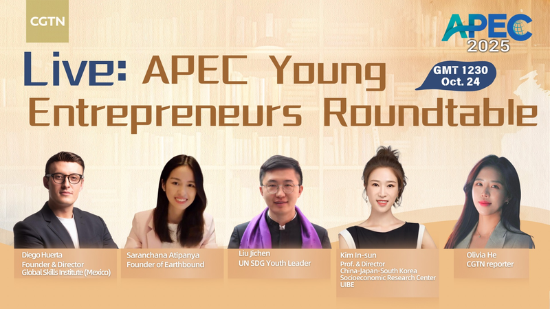 Table ronde des jeunes entrepreneurs de l'APEC : Susciter la créativité transfrontalière video poster