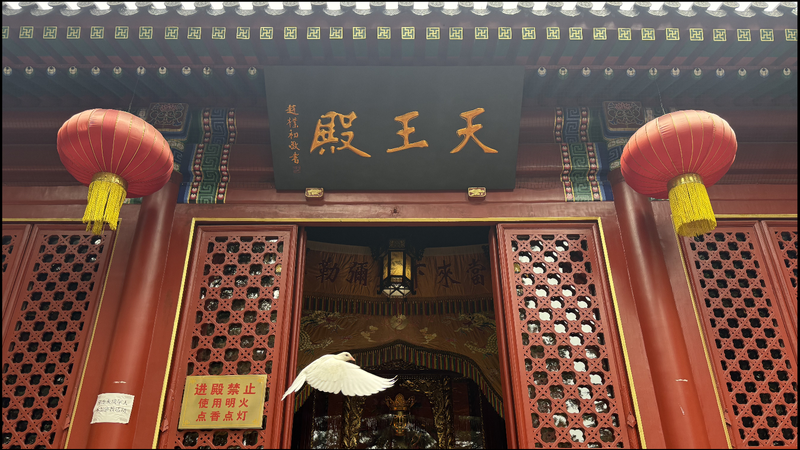 Trouver la sérénité au temple Zhanshan de Qingdao