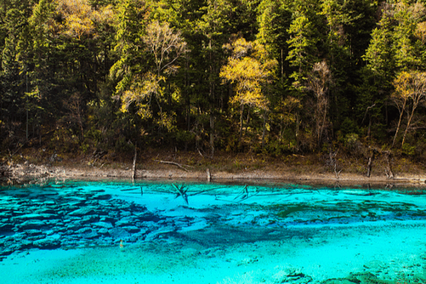 Le lac des cinq couleurs de Jiuzhaigou : le kaléidoscope de la nature Le lac des cinq couleurs de Jiuzhaigou : le kaléidoscope de la nature video poster