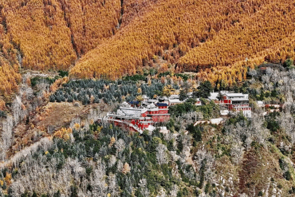 Octobre doré transforme le mont Wutai en un paradis d’automne Octobre doré transforme le mont Wutai en un paradis d'automne video poster