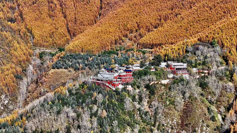 Octobre doré transforme le mont Wutai en un paradis d'automne video poster
