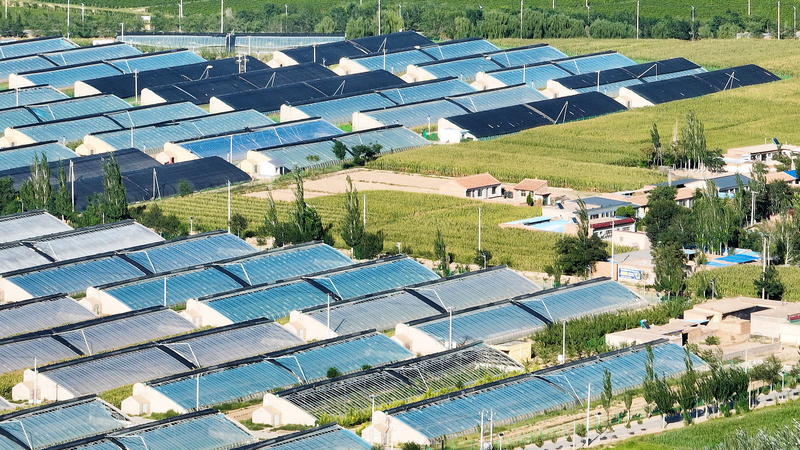Du désert à l'oasis : la transformation verte de la ville minière