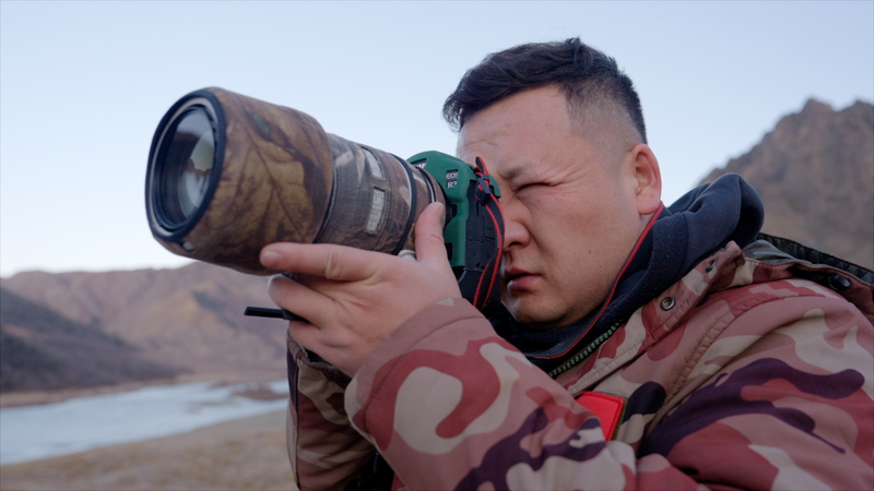 Les léopards des neiges font leur retour dans les hautes montagnes du Xinjiang Les léopards des neiges font leur retour dans les hautes montagnes du Xinjiang video poster