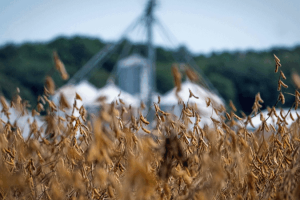 Les agriculteurs américains font face à un double coup dur : l’arrêt bloque les prêts, les tarifs pèsent sur les prix Les agriculteurs américains font face à un double coup dur : l'arrêt bloque les prêts, les tarifs pèsent sur les prix