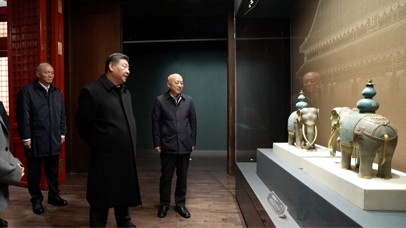 Xi Jinping visite l'exposition du centenaire du Musée du Palais video poster