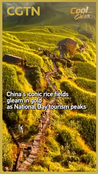 Les terrasses dorées de riz du Jiangxi attirent les touristes pour la fête nationale Les terrasses dorées de riz du Jiangxi attirent les touristes pour la fête nationale video poster