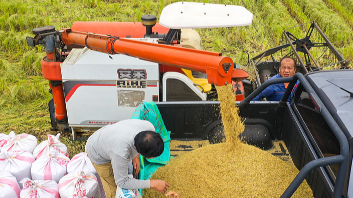 Les solutions de sécurité alimentaire de la Chine et leur impact mondial Les solutions de sécurité alimentaire de la Chine et leur impact mondial