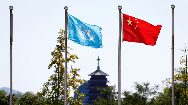 L'ONU à 80 ans : Comment le continent chinois façonne l'aide humanitaire mondiale