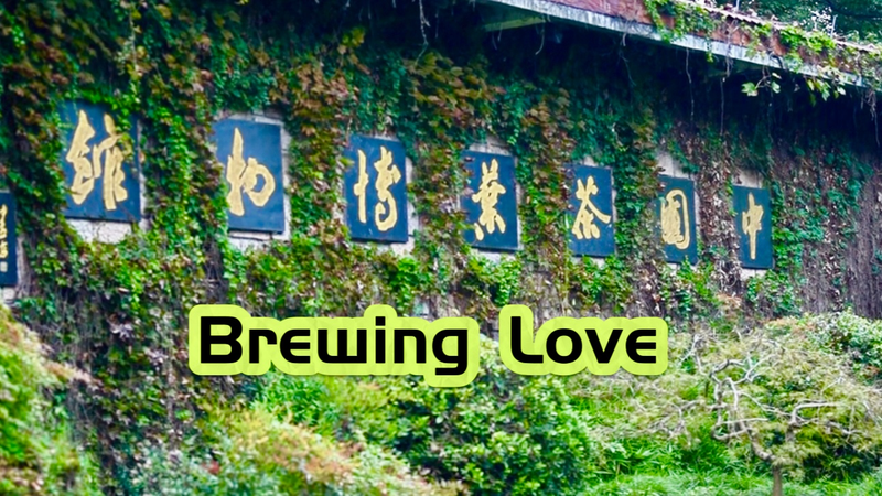 Des responsables américains explorent la culture du thé au Musée National du Thé en Chine video poster