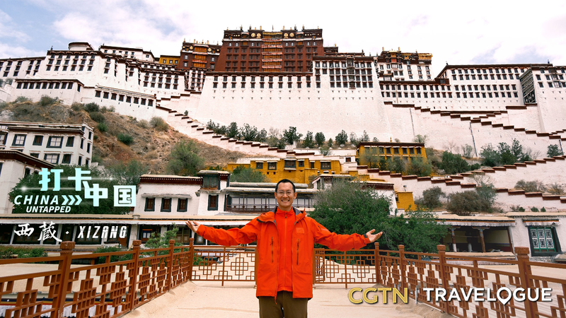 Révélation des trésors cachés du Palais du Potala Révélation des trésors cachés du Palais du Potala video poster