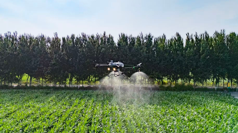 L'agriculture intelligente alimente une récolte abondante dans le continent chinois