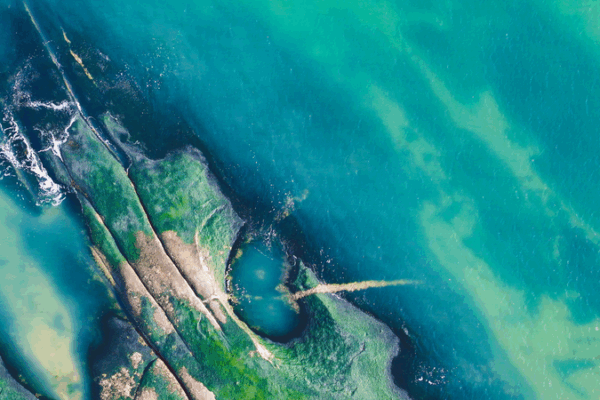 Magie hivernale sur la magnifique côte du Shandong de Rizhao