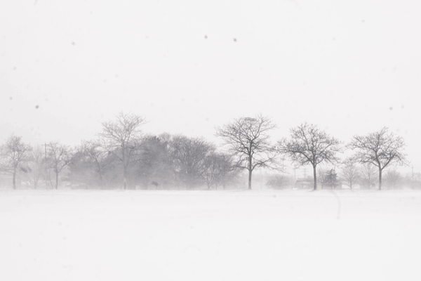 Tempête hivernale frappe le Michigan : restez en sécurité sur les routes video poster