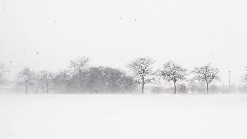 Tempête hivernale frappe le Michigan : restez en sécurité sur les routes video poster