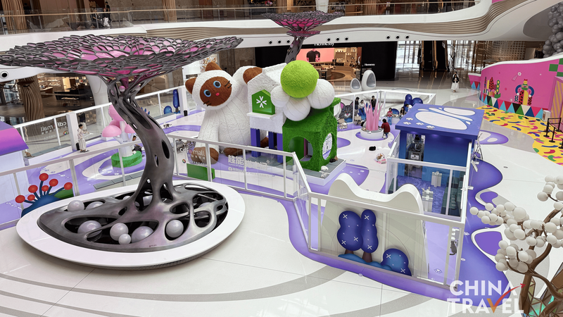 Achetez et câlinez des chats au paradis hors taxes de Haikou