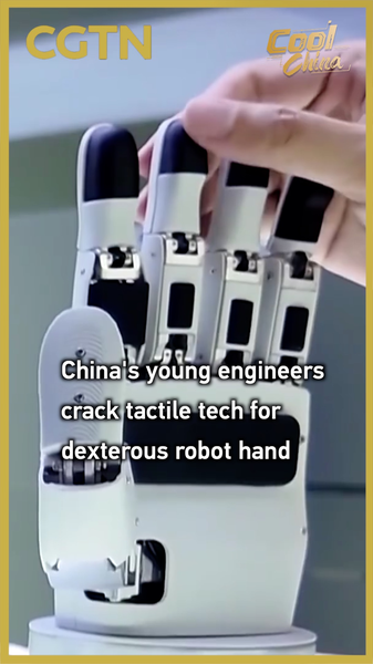 Les ingénieurs de Shenzhen fabriquent une main robotique avec le sens du toucher video poster
