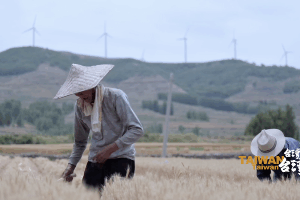 Yang Du : Relier le détroit de Taïwan par la littérature video poster