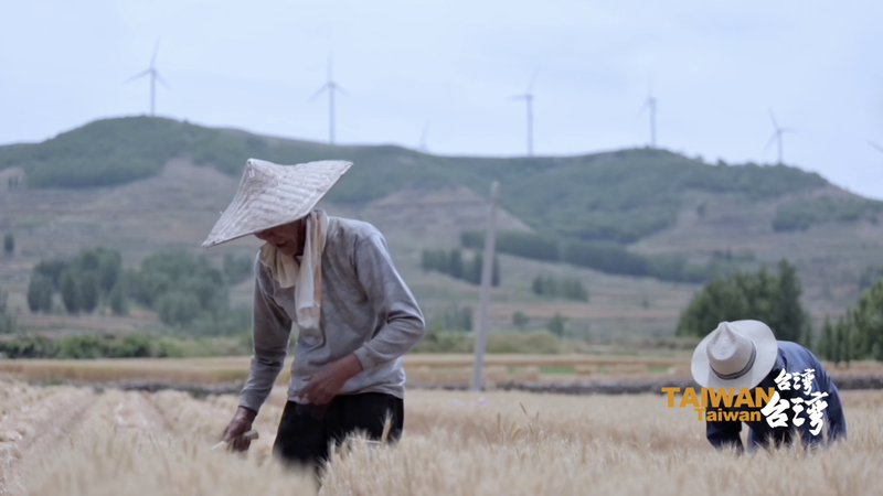 Yang Du : Relier le détroit de Taïwan par la littérature video poster