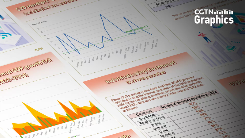 Sommet du G20 à Johannesburg : Croissance, Émissions et Internet au Centre des Discussions