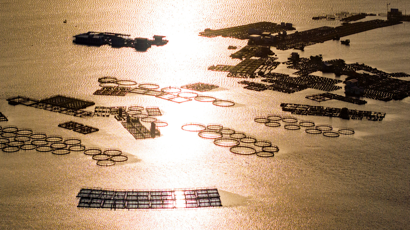 Nomades de la mer de Hainan : À l'intérieur du village flottant Tanka de Lingshui