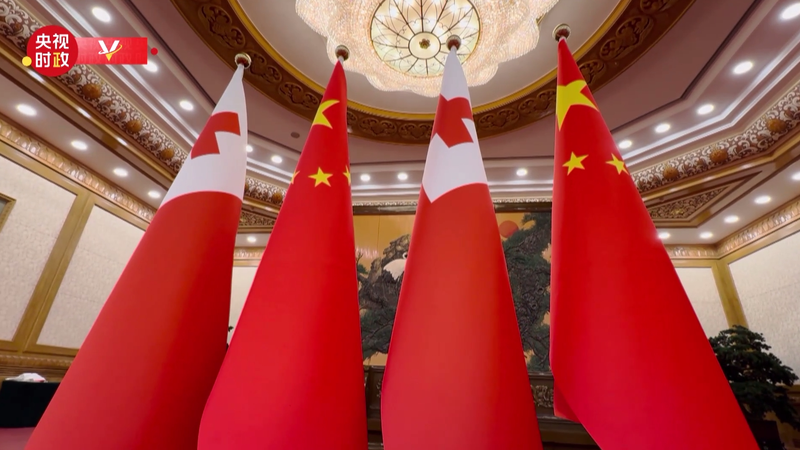 Xi Jinping accueille le roi Tupou VI de Tonga à Pékin pour approfondir les liens