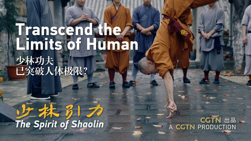 Dans 'L'Esprit du Shaolin': Kung Fu Au-delà des Limites Humaines video poster