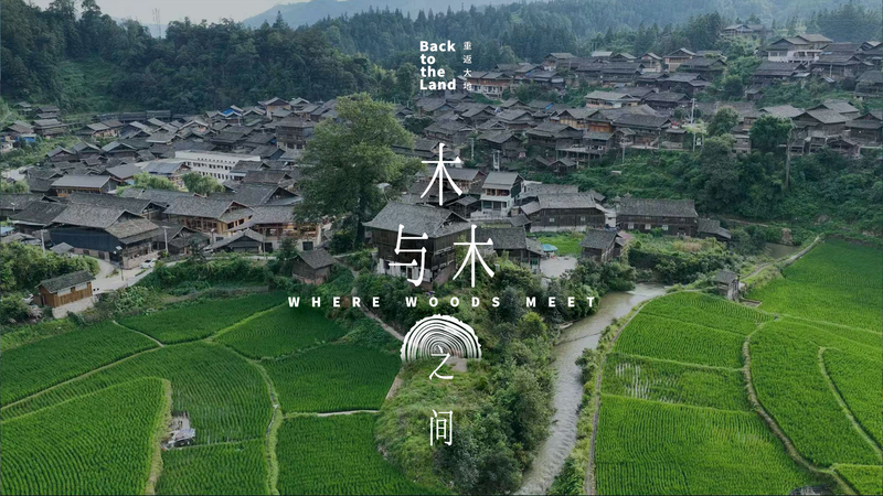 Récits de Bois : Artisanat sans clous dans les villages Dong du Guizhou video poster