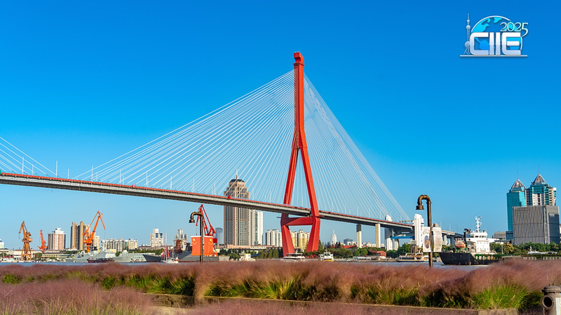 Rive de Yangpu : Des usines à une zone détendue à Shanghai video poster
